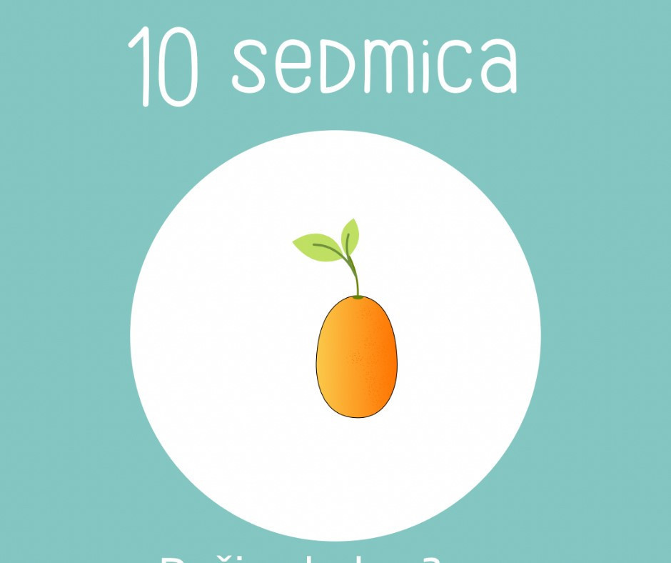 Od zrna maka do lubenice